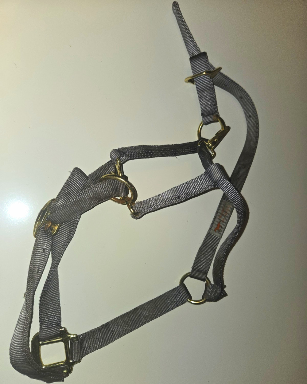Medium Horse Halter Gray Nylon Brass Tone Hardware 800-1100 Lbs No 4402